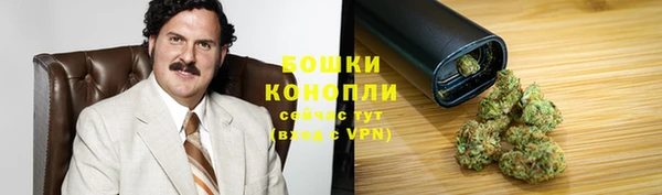 мдпв Горнозаводск