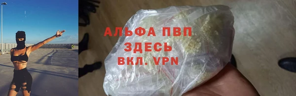 мдпв Горнозаводск