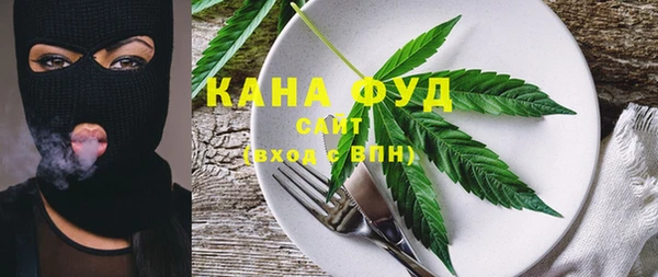 мдпв Горнозаводск